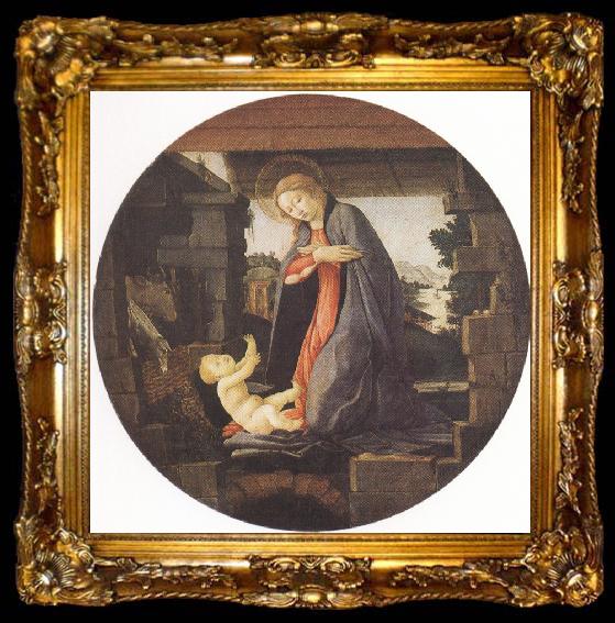 framed  Sandro Botticelli Madonna in Adoration of the Christ Child (mk36), ta009-2